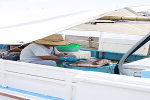 三崎港の漁船