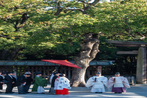 Shinto priest standing at the head of the line