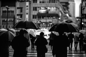 Many umbrella in Hamanomachi