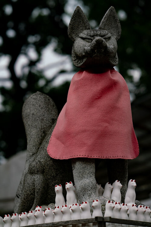 Foxes of Mabashi Inari Jinja Shrine