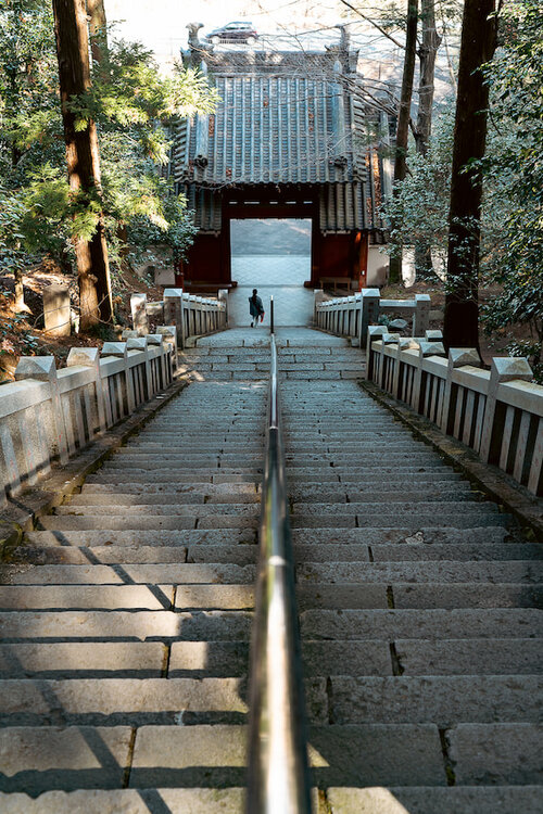Long stone steps at Daruma-ji Temple