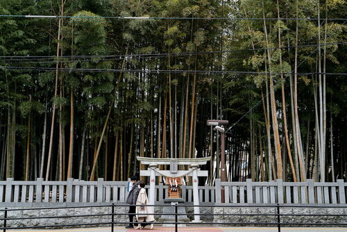 Shirazunomori Shrine at Yawata no Yabushirazu