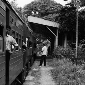 Train stopping at small station