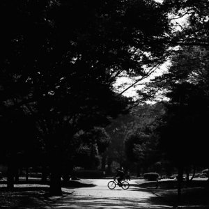 代々木公園内を走る自転車