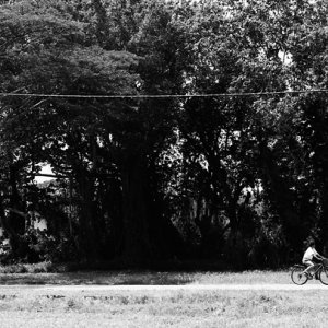 のんびりと田舎道を走る自転車
