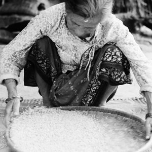 Older woman sorting rice out