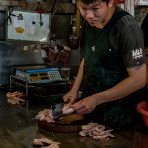Young man cutting chicken wings