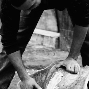 Fishmonger cutting ray