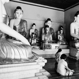 Women surrounded by Buddha statues