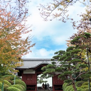 Furo-mon gate in Gokoku-ji Temple