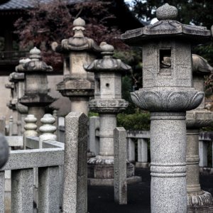Stone lanterns in Gokoku-ji