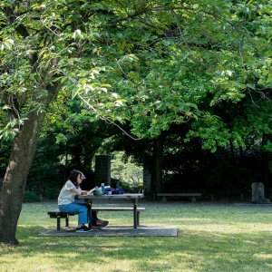 Couple reading book in Kiyosumi Teien Garden