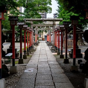 Approach to Senju Jinja