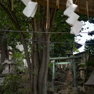 田端八幡神社の鳥居