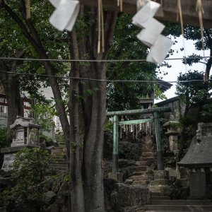 田端八幡神社の鳥居