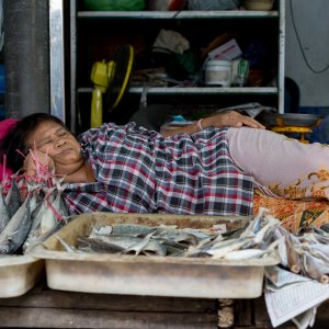 Woman sleeping on other side of fishes