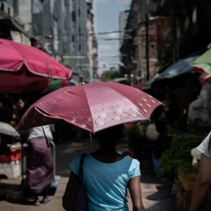 傘を差して露天市を歩く女性