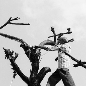 木の上に立つ男
