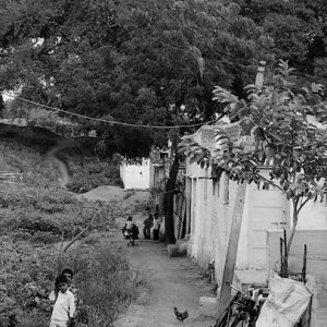 Two boys standing in off street