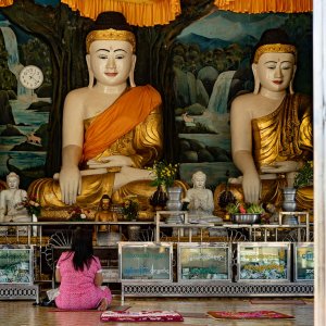 Woman sitting in front of many Buddha statues