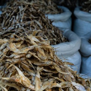 Pile of dried fishes