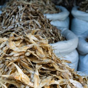 Pile of dried fish