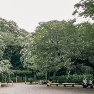 People relaxing under the trees in Rikugien Garden