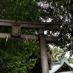 小山八幡神社の鳥居と拝殿