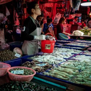 Young woman selling squid, octopus, and shell in Khlong Toei Market