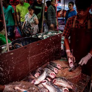 Man cutting fishes in Khlong Toei Market