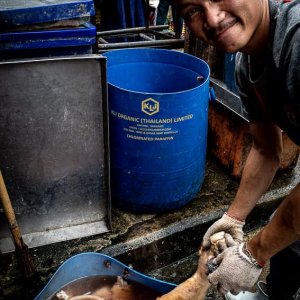 クロントゥーイ市場で豚足を洗っていた男