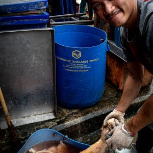 Man washing pig legs in Khlong Toei Market
