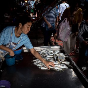 メークロン線路市場で魚を売る女性