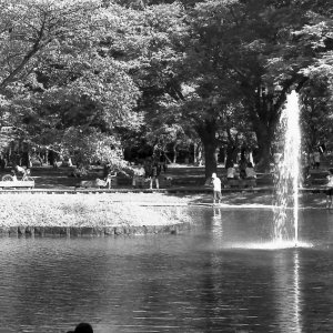 Kids on edge of water in Yoyogi Park