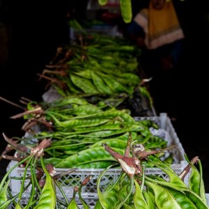 Petai sold in the Kanoman market
