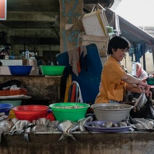カノマン市場の魚屋