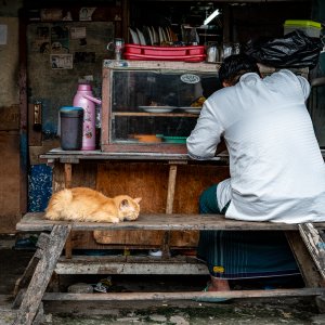 Man eating alongside a cat