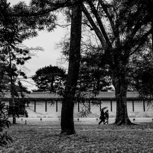 Figures walking through the trees of Kyoto Gyoen