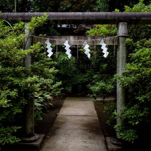 Torii in Hatomori Hachiman Jinja