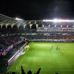 Crowd in stadium