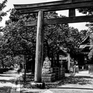 Torii gate of Ebara Jinja