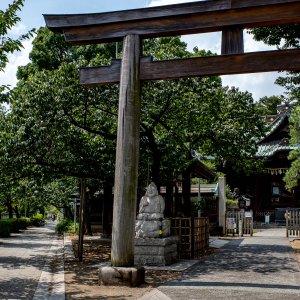 Torii gate of Ebara Jinja