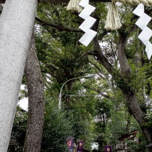 Togoshi Hachiman Shrine