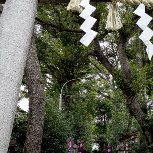 Togoshi Hachiman Shrine