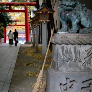 花園神社の狛犬