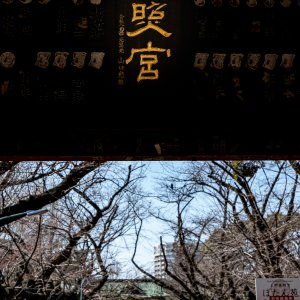 上野東照宮の水舎門
