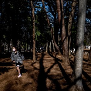 Girl running through a grove of trees