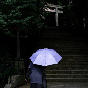 谷保天満宮を歩く紫色の傘を指した女性