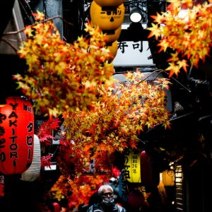 Omoide Yokocho in Shinjuku