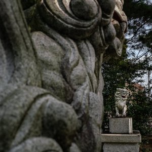 正福寺地蔵堂の横に建つ八坂神社の狛犬